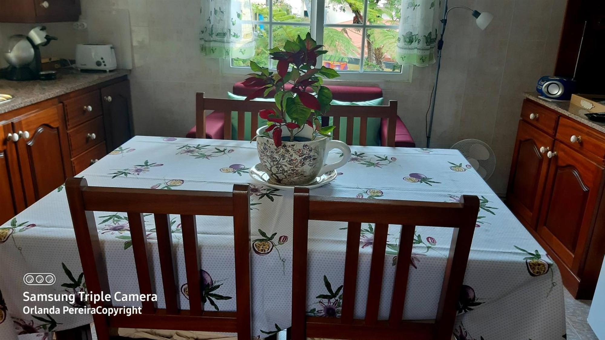 Terra Chã Cottage,FEEL Home, São Vicente Exterior foto